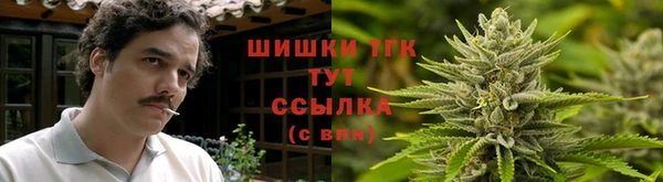 ALPHA PVP Гусев