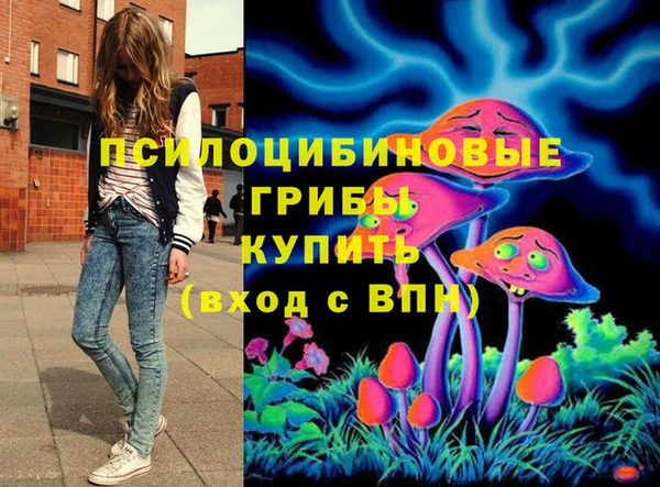 ALPHA PVP Гусев