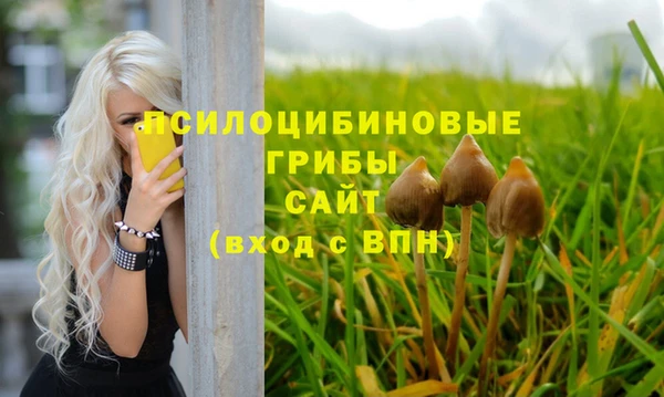 шишки Гусь-Хрустальный