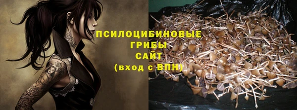 ALPHA PVP Гусев