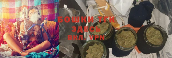 шишки Гусь-Хрустальный