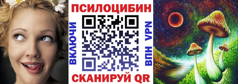 Псилоцибиновые грибы MAGIC MUSHROOMS  дарнет шоп  Завитинск 